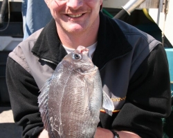 black bream 01.JPG